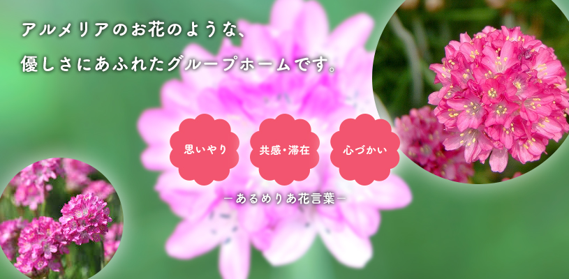 アルメリアのお花のような、優しさにあふれたグループホームです。